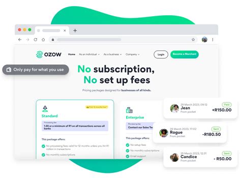 Getting started with Ozow .